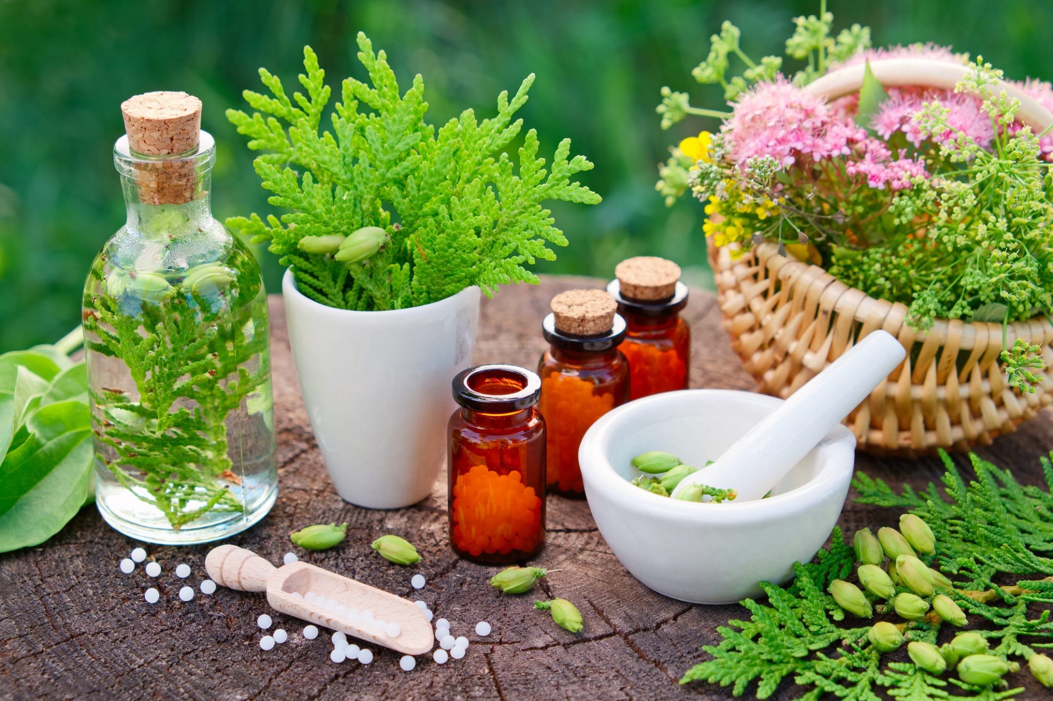 The Energy Healing Power of Natural Medicine